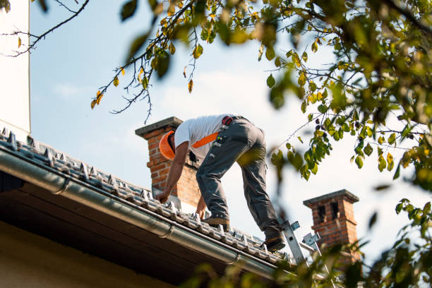 Best Roof Maintenance Services  in Terry, MS