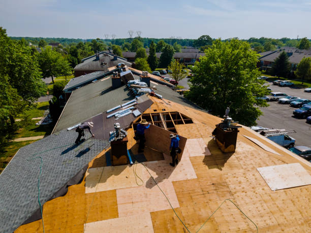 Quick and Trustworthy Emergency Roof Repair Services in Terry, MS