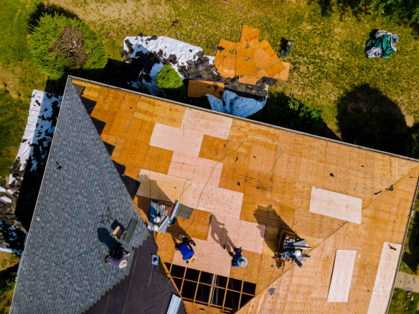 Best Best Roofing Contractors  in Terry, MS