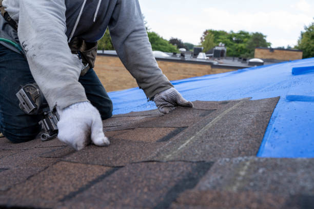 Best Metal Roofing Contractor  in Terry, MS