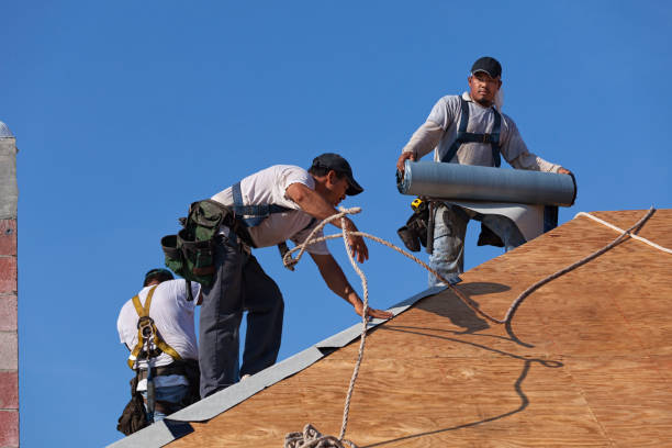 Gutter Installation and Roofing in Terry, MS