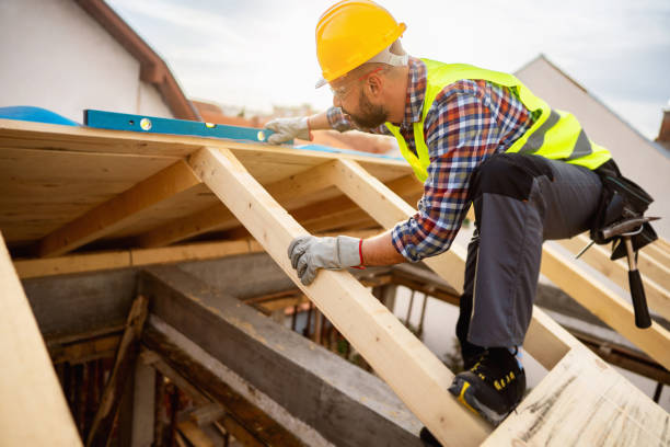 Best Roofing Contractor Near Me  in Terry, MS