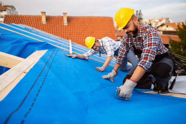 Best Roof Restoration Services  in Terry, MS
